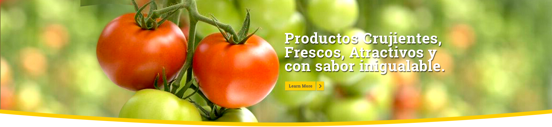 Productos crujientes, frescos, atractivos y con sabor inigualable