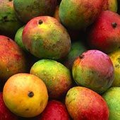 fruits-5.jpg