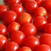 tomatoe-3.jpg
