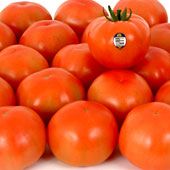 tomatoe-4.jpg