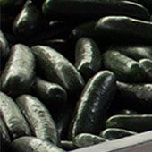 vegetable-5.jpg