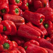 vegetable-6.jpg