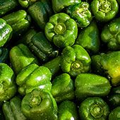 vegetable-7.jpg